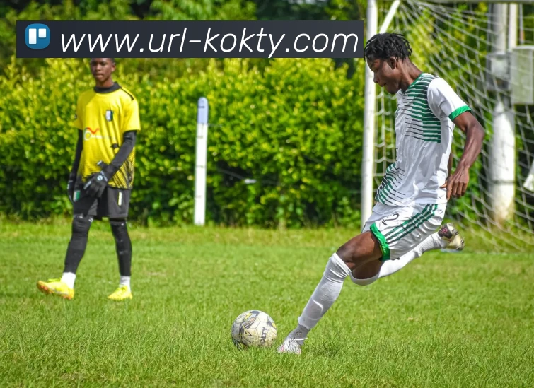 KOK体育发展历程